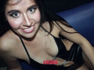 ANGORA