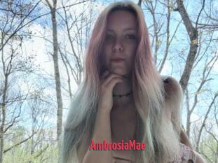 AmbrosiaMae