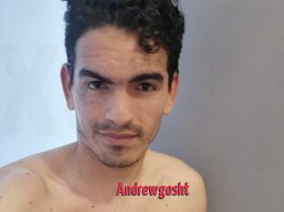 Andrewgosht