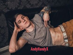 AndyHandyX