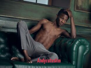Andycuteslim