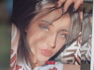 Aneu