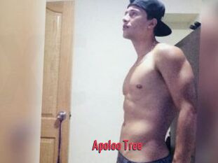 Apoloo_Tree