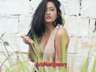 AriaMontgomery