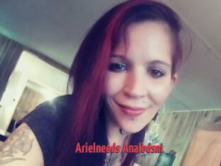 Arielneeds_Analbdsm