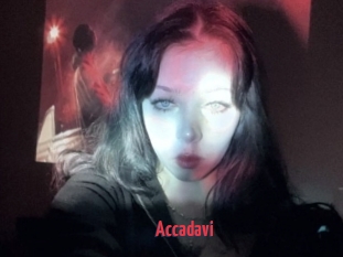 Accadavi