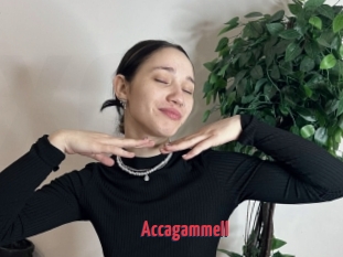 Accagammell