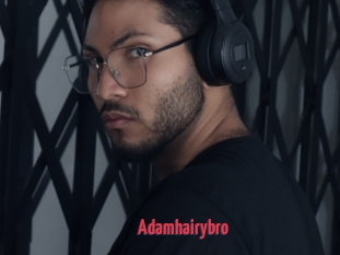 Adamhairybro