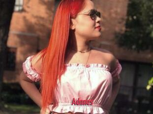 Adnnes