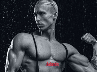 Adonis_
