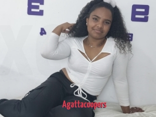 Agattacoopers
