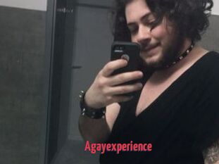 Agayexperience
