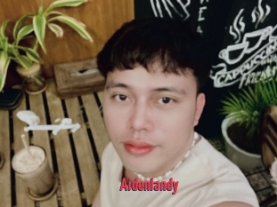 Aidenlandy