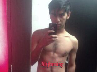 Alejburning