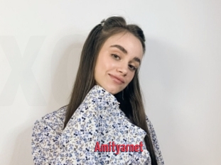 Amityarnet