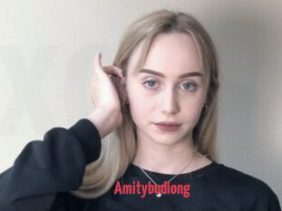 Amitybudlong