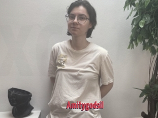 Amitygodsil