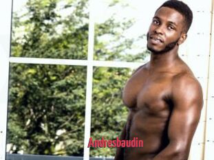 Andresbaudin