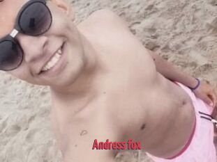 Andress_fox