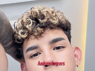 Andrewtowers