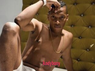 Andybony