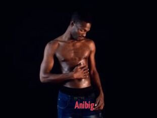 Anibig