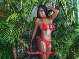 Anncolemaanmodel