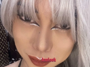 Anntook
