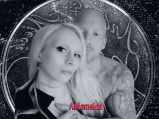 Antnmeich