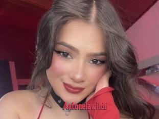 Antonelawildd