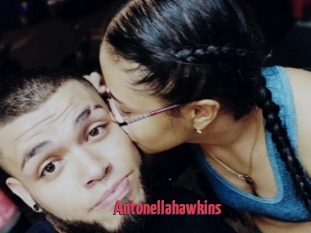 Antonellahawkins
