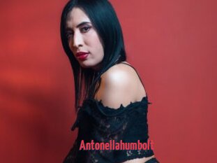 Antonellahumbolt
