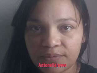 Antonellalovee