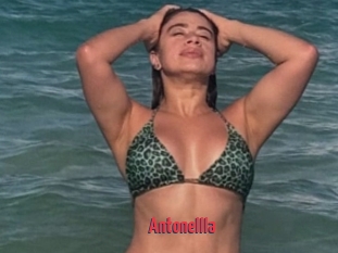 Antonellla