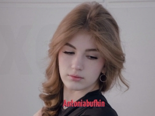 Antoniabufkin