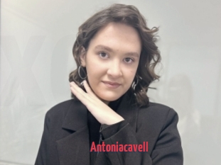 Antoniacavell