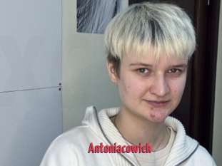 Antoniacowick