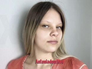 Antoniadumford