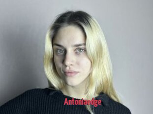 Antoniaedge