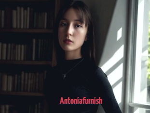 Antoniafurnish