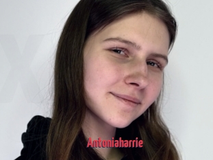 Antoniaharrie