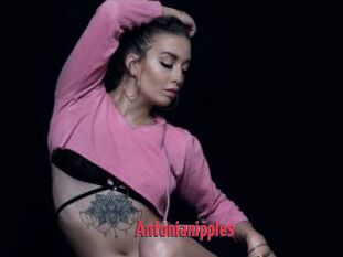 Antonianipples