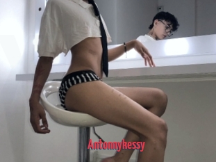 Antonnykessy