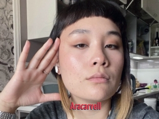 Aracarvell