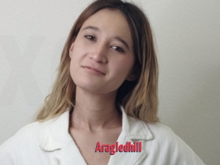 Aragledhill