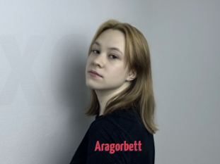 Aragorbett