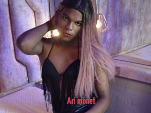 Ari_monet