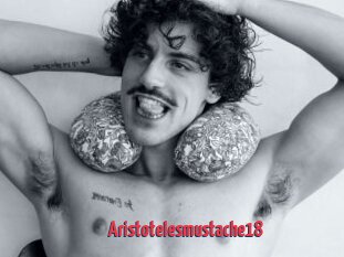 Aristotelesmustache18