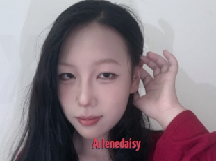 Arlenedaisy
