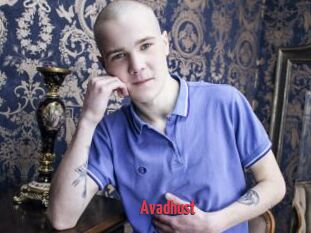 Avadhust